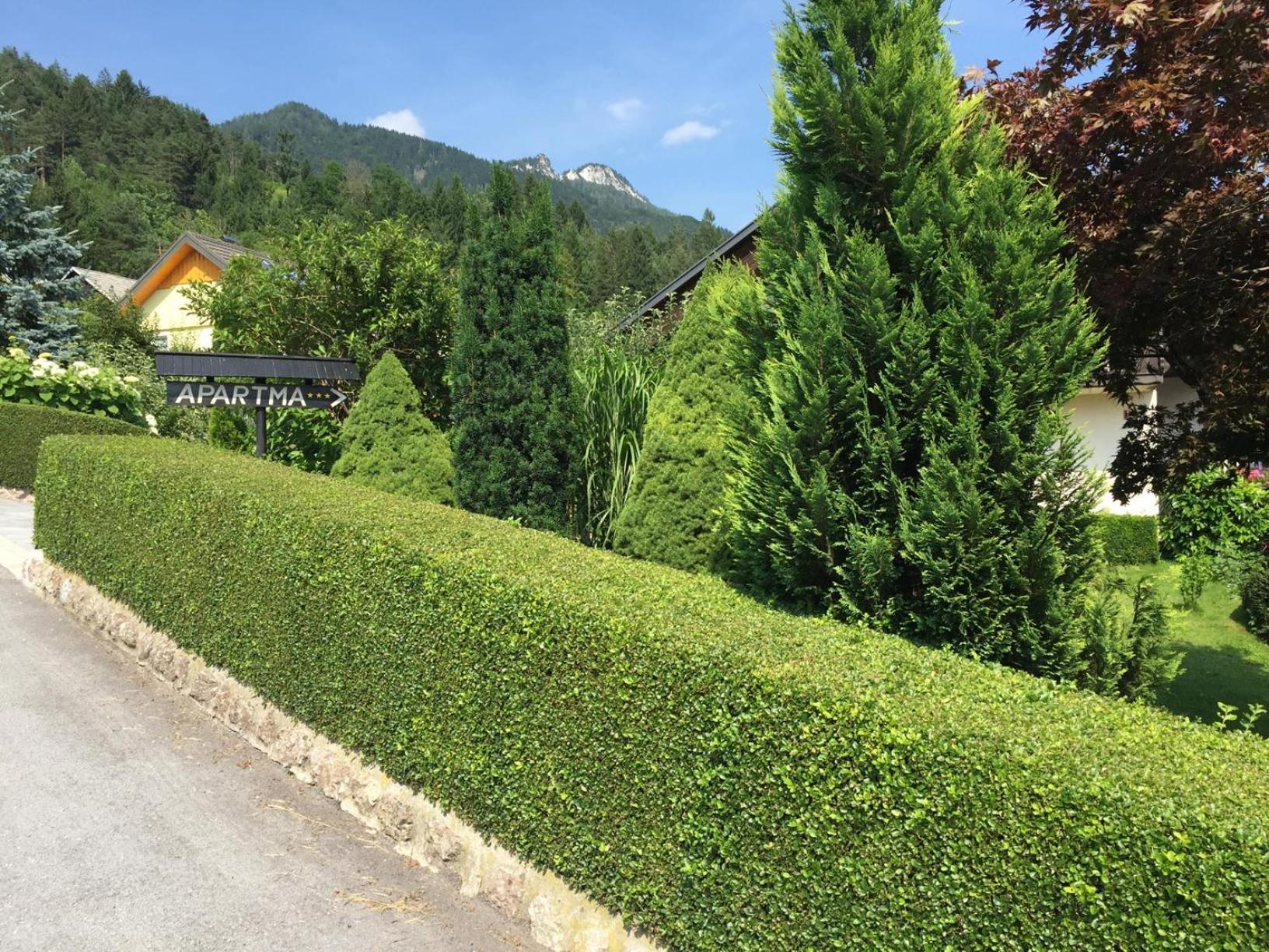 Pocitnisko Stanovanje Zalar Appartement Mojstrana